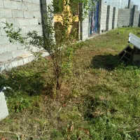 اینورتر های ۱۵۰۰ و ۲۰۰۰ وات شبه سینوسی|ابزارآلات|رشت, لاکان شهر|دیوار