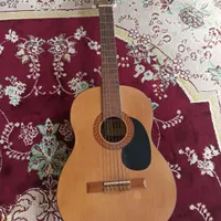 گیتار بنبرگ