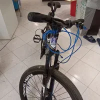 دوچرخه|دوچرخه، اسکیت، اسکوتر|تهران, درختی|دیوار