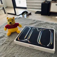 iPad Pro M4 2Tb
