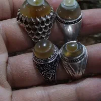 چهار عدد باباقوری طبیعی رکاب دست