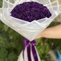 گل روبانی