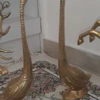 قو برنجی