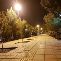شب نشینی دو نفره در بوستان|فعالیت داوطلبانه|قم, انسجام|دیوار