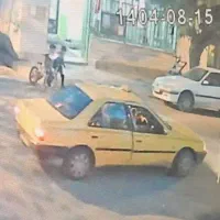 گم شده|اشیا|پارس‌آباد, |دیوار