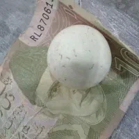 سنگ اسیاب معاوضه