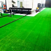 چمن مصنوعی برای ویلا و حیاط منزل و بالکن|خدمات باغبانی و درختکاری|مشهد, امیر|دیوار