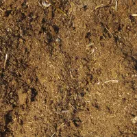 کود حیوانی|خدمات باغبانی و درختکاری|وحیدیه, |دیوار