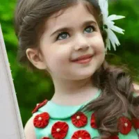 فرش|تابلو فرش|اردبیل, |دیوار