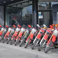 تریل باسل توسن، روان، برمودا