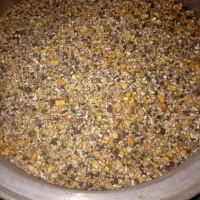 کارگر خانم جهت تولید خوراک دام در قصلان