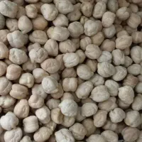 نخود کرمانشاه زیر قیمت