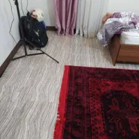 اجاره ی آپارتمان  ۱۲۰ متری در نکا|اجارهٔ آپارتمان|نکا, |دیوار