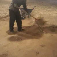 کود مرغ گوشتی و تخمگذار|خدمات باغبانی و درختکاری|مشهد, توس فردوسی|دیوار