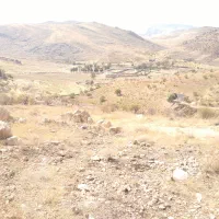 زمین باغچه ۱۰۰۰متری|فروش دفتر صنعتی، کشاورزی، تجاری|شیراز, داریون|دیوار