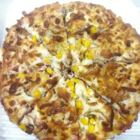 انواع پیتزا و ساندویچ و پیراشکی با بهترین کیفیت