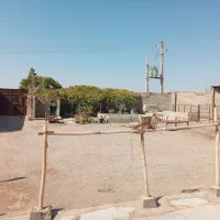 یک واحدگاوداری