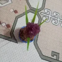 گلدان دست ساز زیبا|گل مصنوعی|مهریز, |دیوار