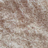 برنج دم سیاه