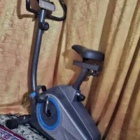 دوچرخه ثابت پاندا B335