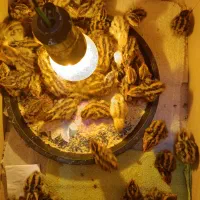 جوجه دوهفته ای وجوجه بلدرچین|حیوانات مزرعه|قم, حاج خلیل|دیوار