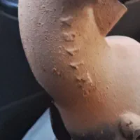 کاتالیست پراید کاتالیزور پراید کاتالیز پراید