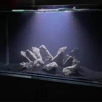 معاوضه اکواریوم با طوطی سالان