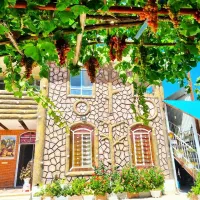 سوییت-اجاره-ای-سی-سخت