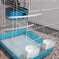 قفس بزرگ