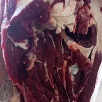 گوشت لخم بدون استخوان