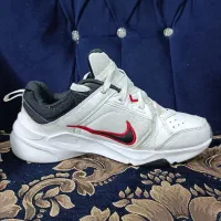 کتانی|کیف، کفش، کمربند|محمدشهر, کوی بهار|دیوار