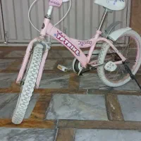 دوچرخه دخترانه TPT BIKE