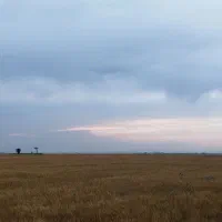 زمین زراعی قطعه ای