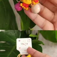 کش مو دوقلو|زیورآلات و اکسسوری|اصفهان, جلالیه|دیوار