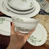 ظروف گل گندم|سرویس روتختی|بابل, |دیوار