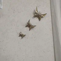 پروانه برنزی