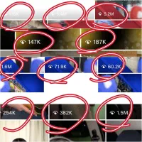 ادمین اینستاگرام / فیلمبردار/سناریو نویس