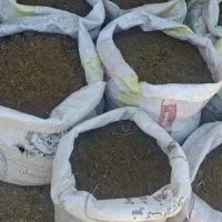 کود گوسفندی حیوانی