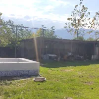 فروش خانه ۱۵۰۰ متر ۱۳۰۰متر سند دارد|فروش خانه و ویلا|ماسال, |دیوار