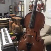 ویلن حرفه ای