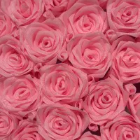 آموزش آرایش دائم با۹۰درصد تخفیف