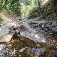 تور تفریحی گردشی
