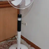 پنکه تولیپس