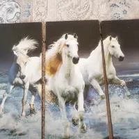 قاب عکس|تابلو، نقاشی، عکس|شهرکرد, |دیوار