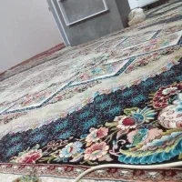 قالی ۱۲ متری|فرش|صدرا-فارس, فاز ۲|دیوار