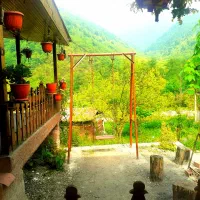 رزرو کلبه چوبی ویلا جنگلی مازندران سوادکوه لفور|اجارهٔ کوتاه‌مدت ویلا و باغ|آلاشت, |دیوار