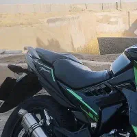 گمشده.زین سرنشین مگلی