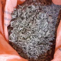 پونه تمیز وخوش عطر بو