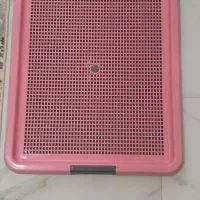 سینی ادار سگ