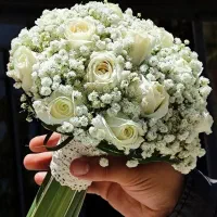 گل آرایی|خدمات پذیرایی، مراسم|کاشان, مفتح|دیوار